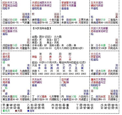 紫微斗数 2024|紫微斗數